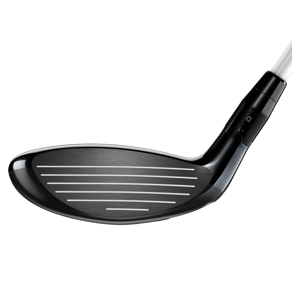 fwoods-2015-big-bertha-alpha-