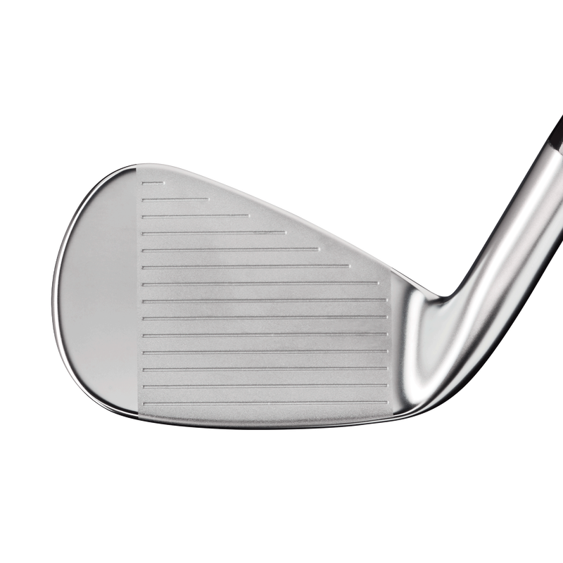 Apex TCB 21 Irons - Japanese Verison - View 3
