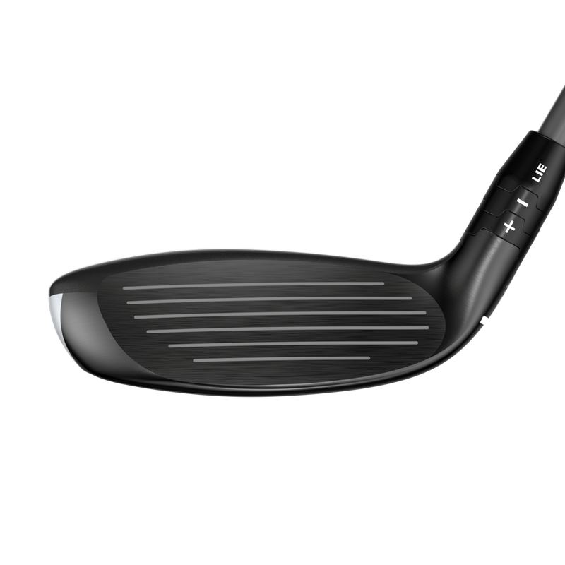 Quantum Max Hybrids - View 6